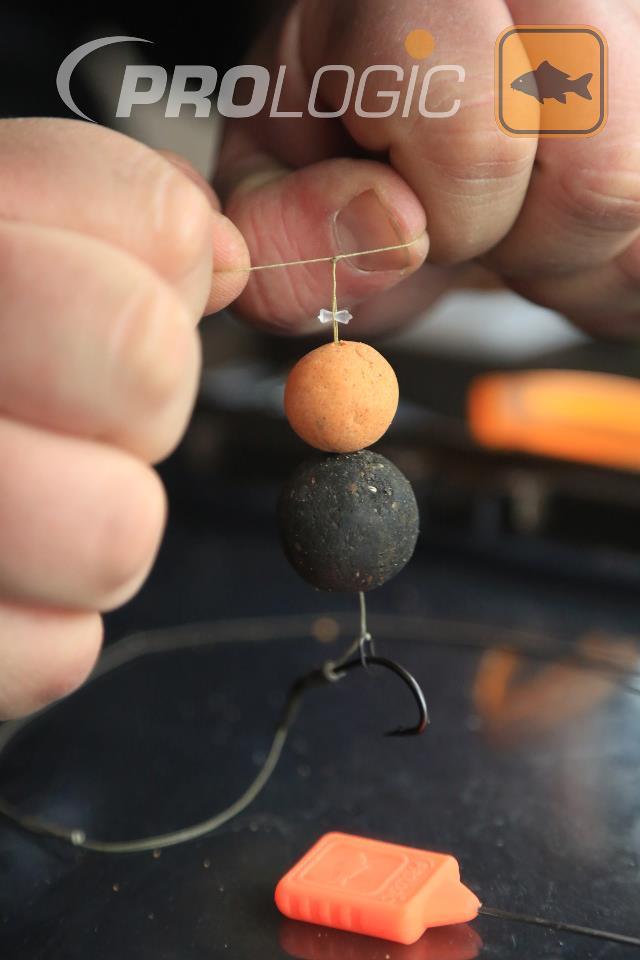 PROLOGIC - 321597507366025989635599459863n.jpg